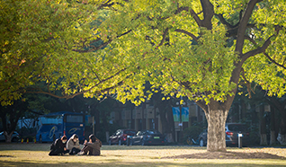 文明校園創(chuàng)建